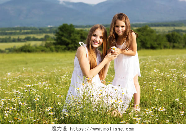 绿色背景上穿着白色衣服的两个可爱的姐妹在绿色甘菊领域的风景图